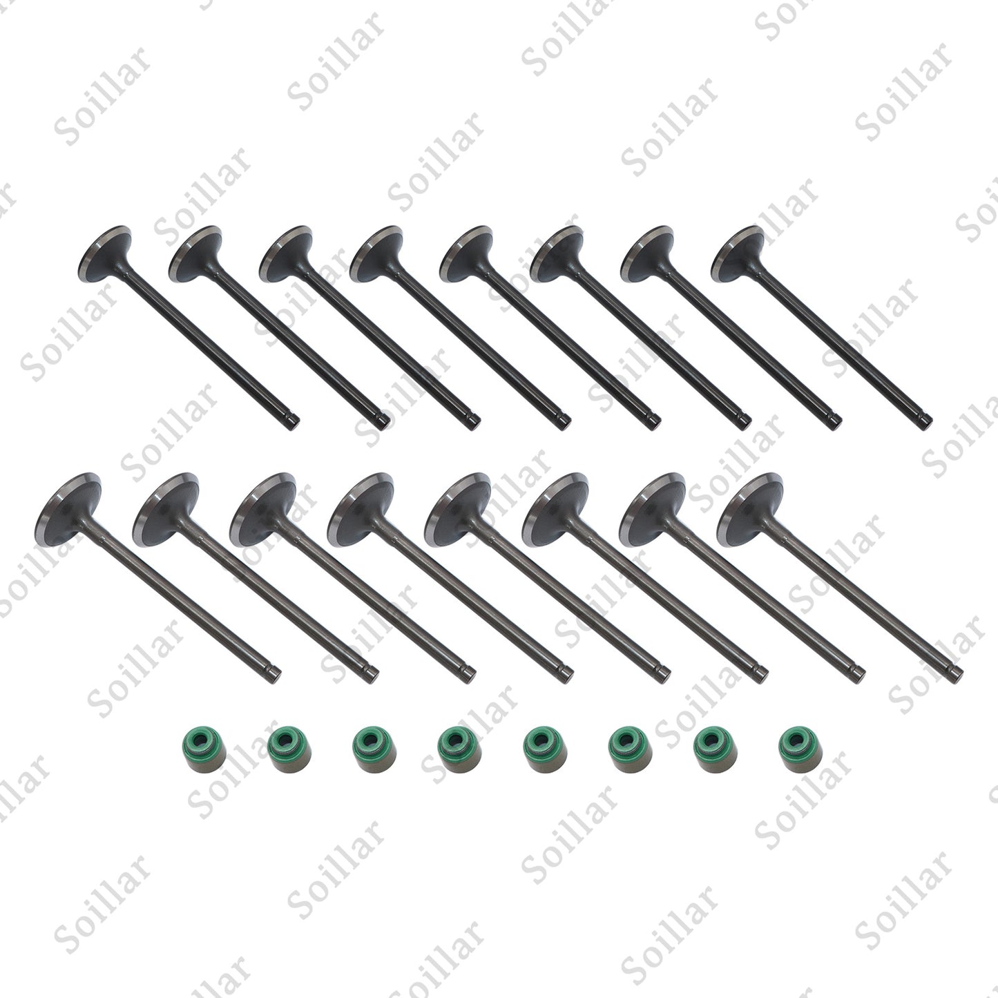 Fits Kia Accent Veloster Rio Soul 1.6L Intake & Exhaust Valves + Steam Seals