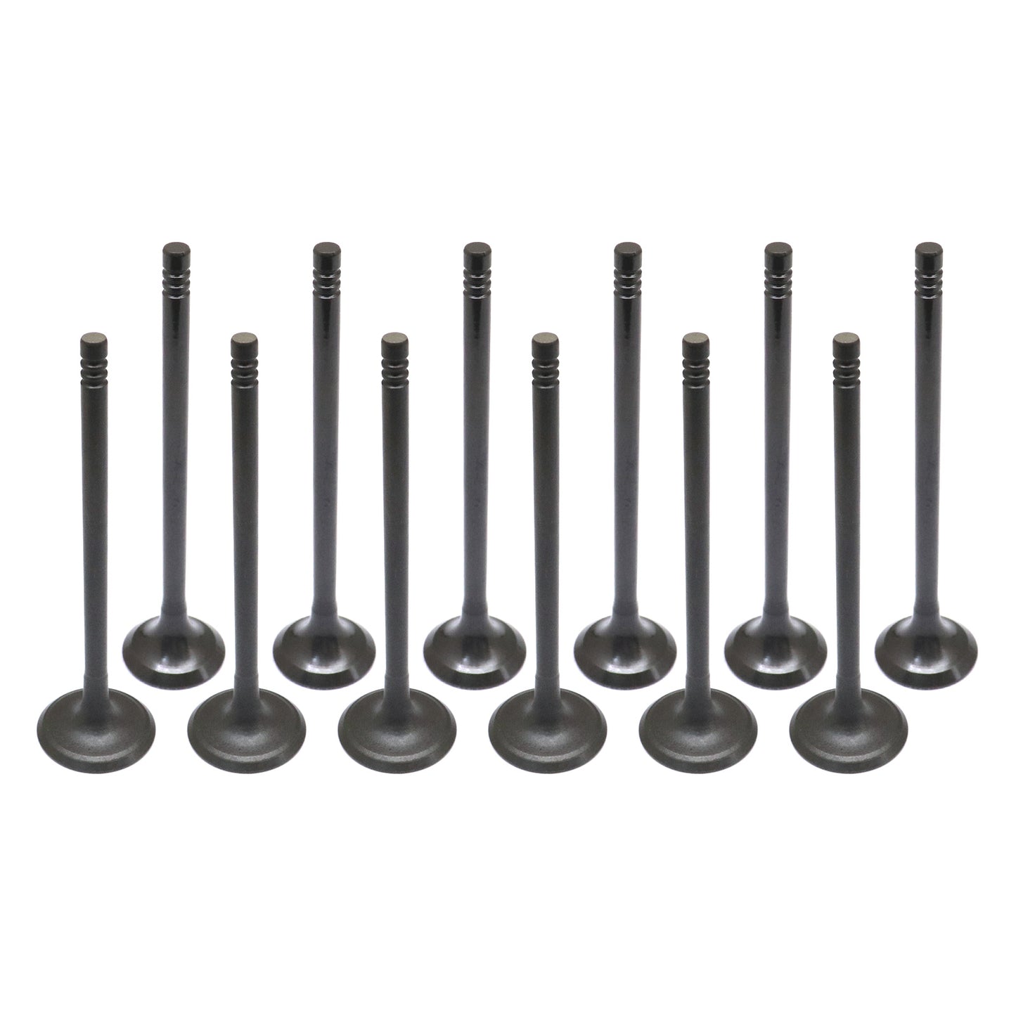 NEW Exhaust Intake Valve Kit Fits For 2014-2017 Ford Fiesta Focus DOHC 12V