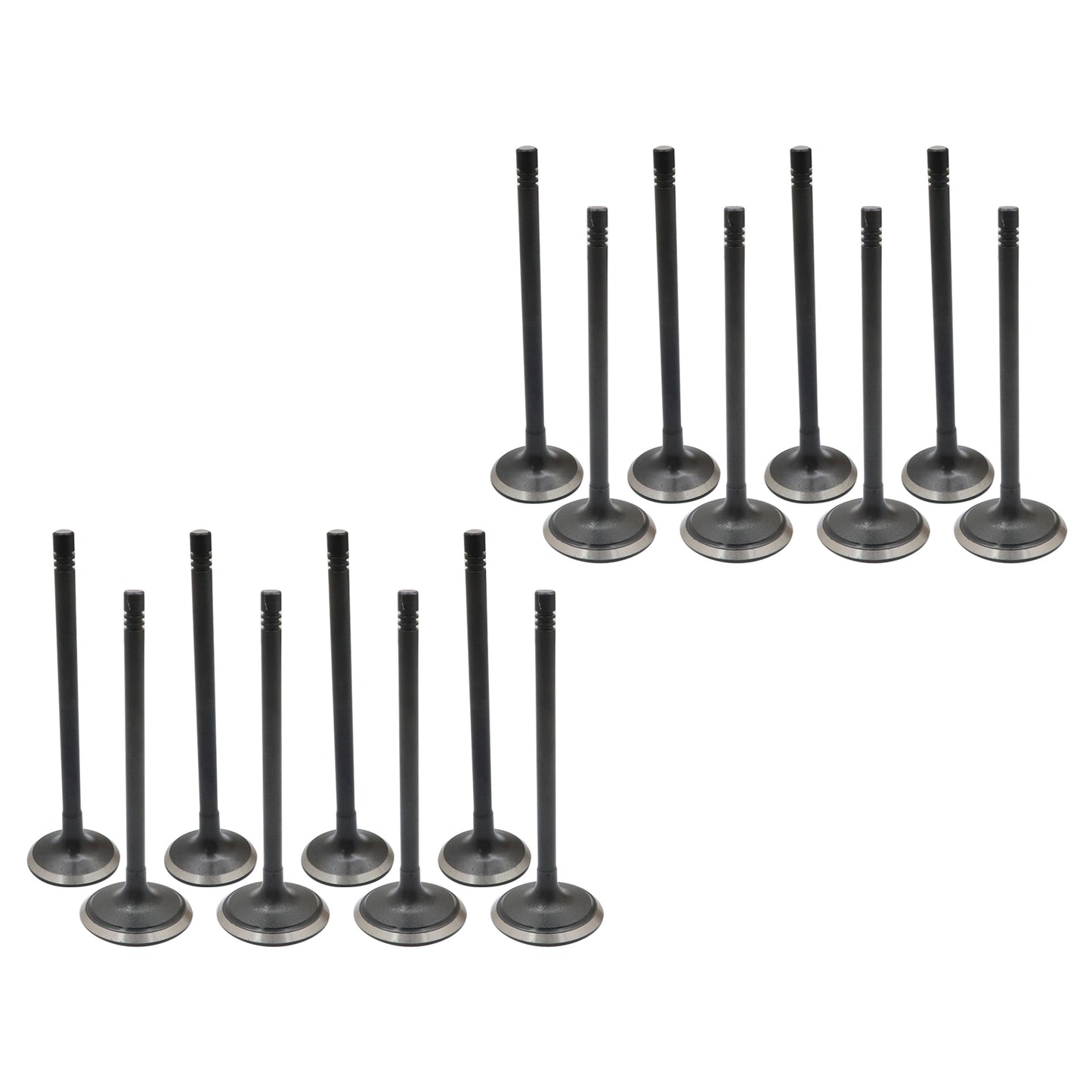 Engine Exhaust Intake Valve Kit Fits 04-06 Chevrolet Colorado GMC Canyon 2.8L