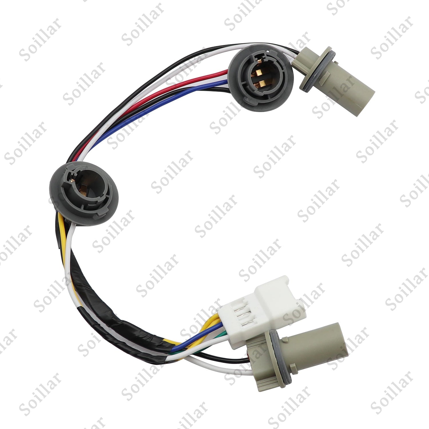 Tail Light Socket Harness