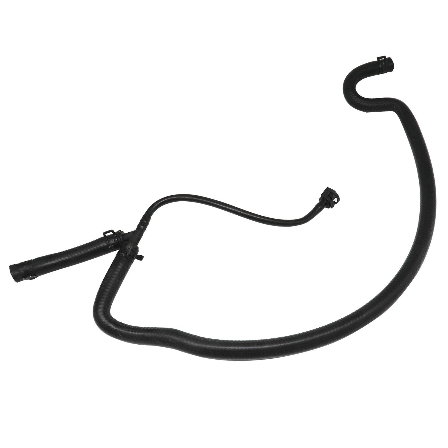 Hose to Radiator