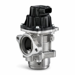EGR Valves