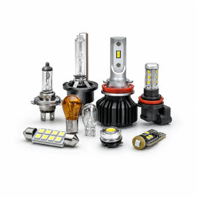 Light Bulbs & LEDs
