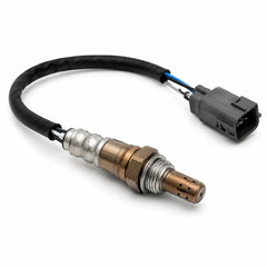 Oxygen Sensors
