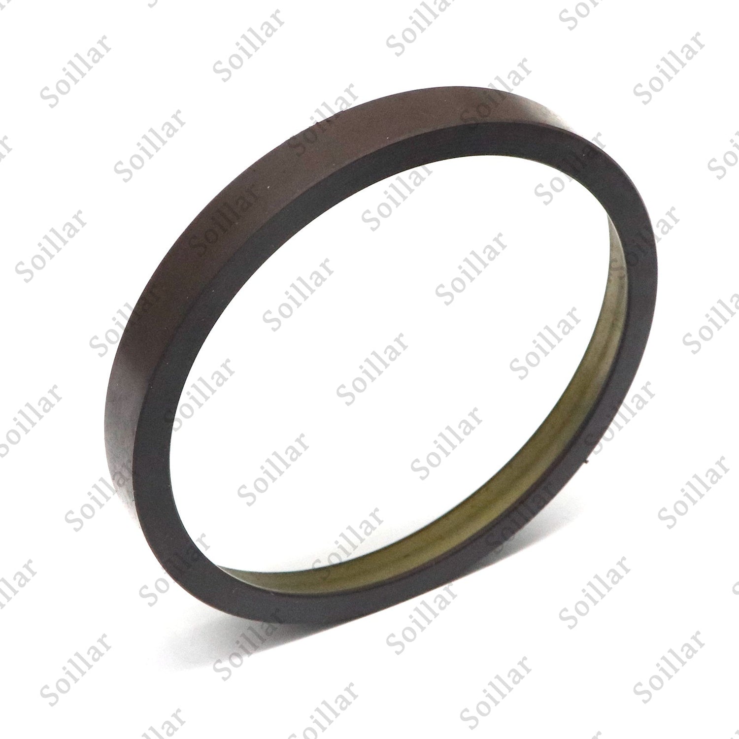 Wheel Speed Sensor Tone Ring