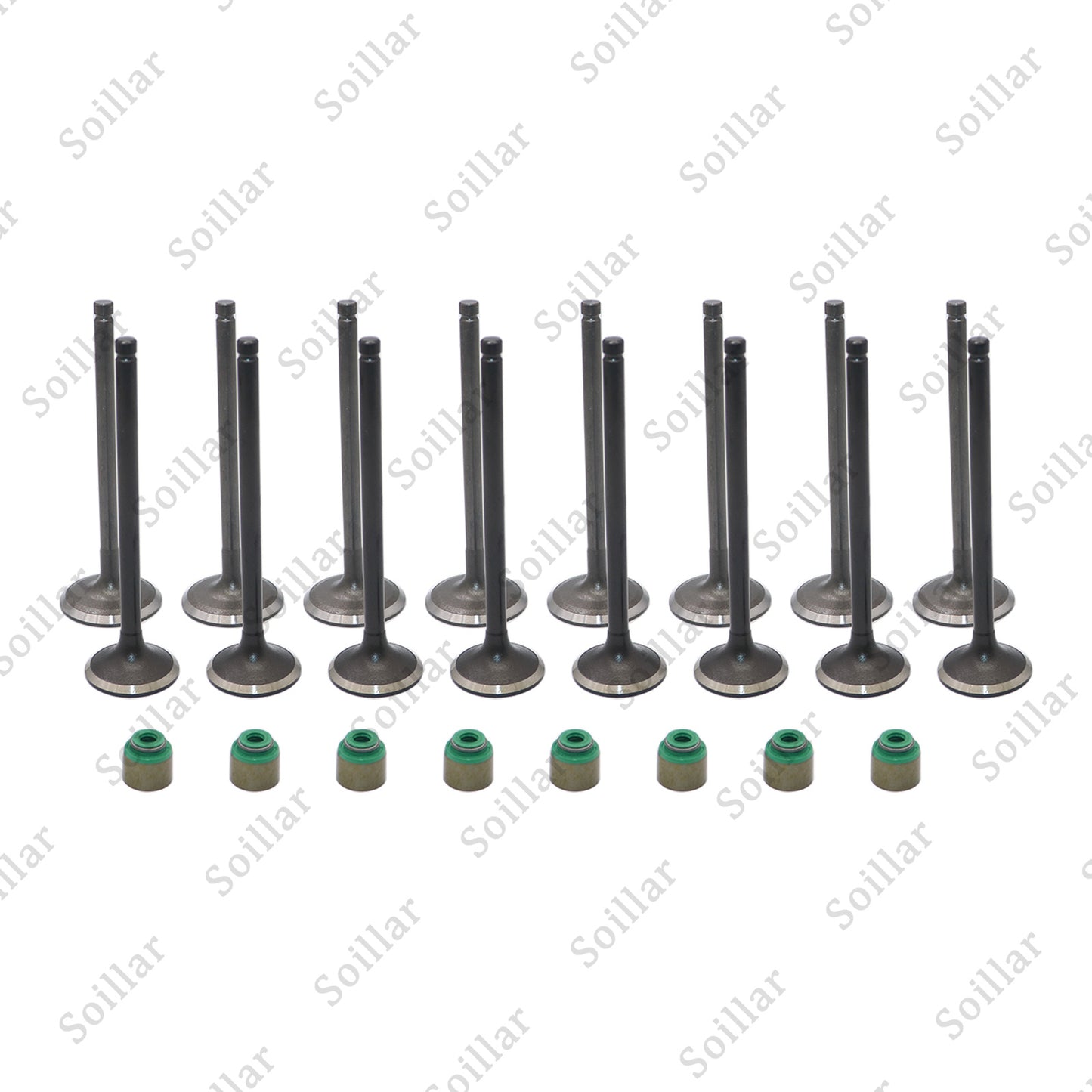 Fits Kia Accent Veloster Rio Soul 1.6L Intake & Exhaust Valves + Steam Seals