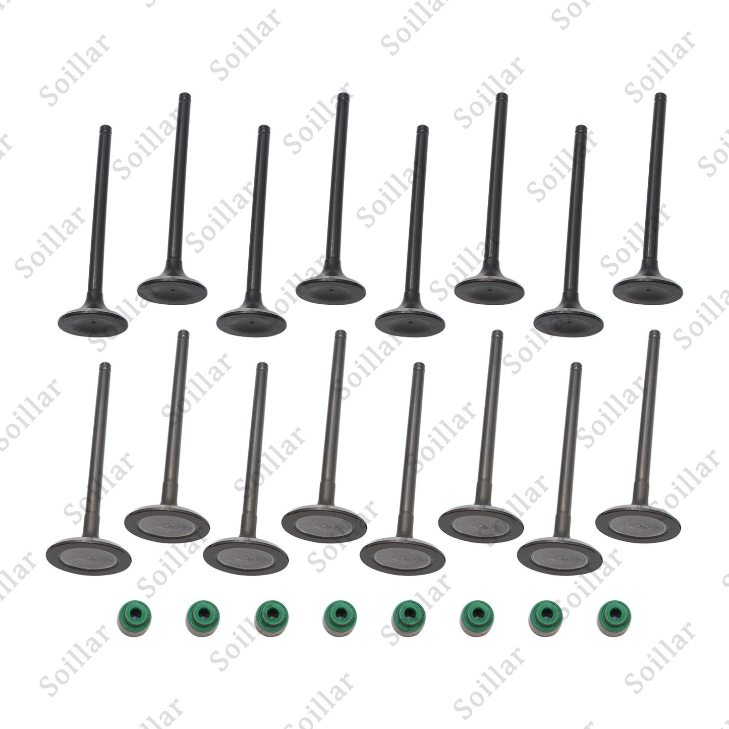 Fits Kia Accent Veloster Rio Soul 1.6L Intake & Exhaust Valves + Steam Seals