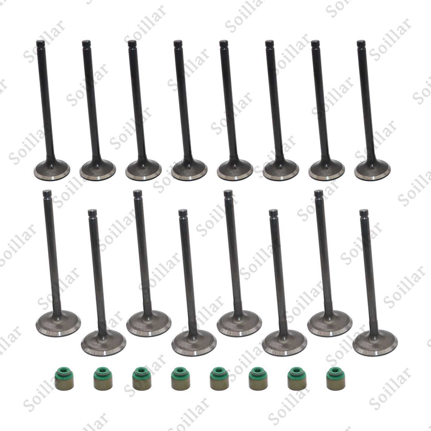 Fits Kia Accent Veloster Rio Soul 1.6L Intake & Exhaust Valves + Steam Seals