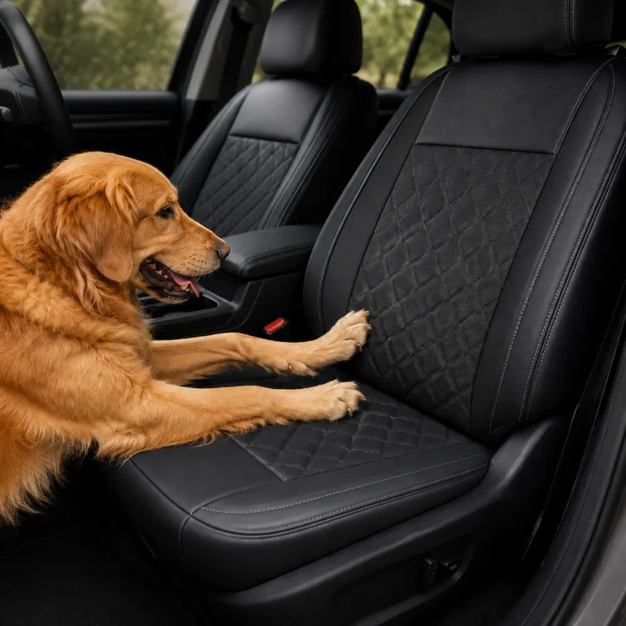 Durability for Pets