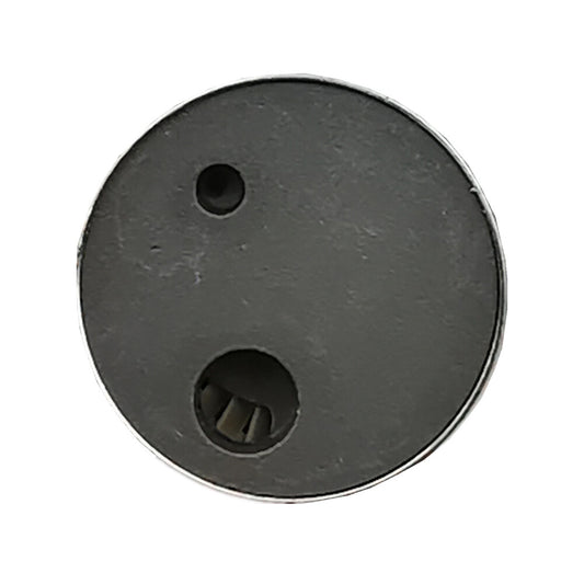 New Fuel Pump Fits for Evinrude E-tec etec Vst Electric 15/25/30 HP 28128525A