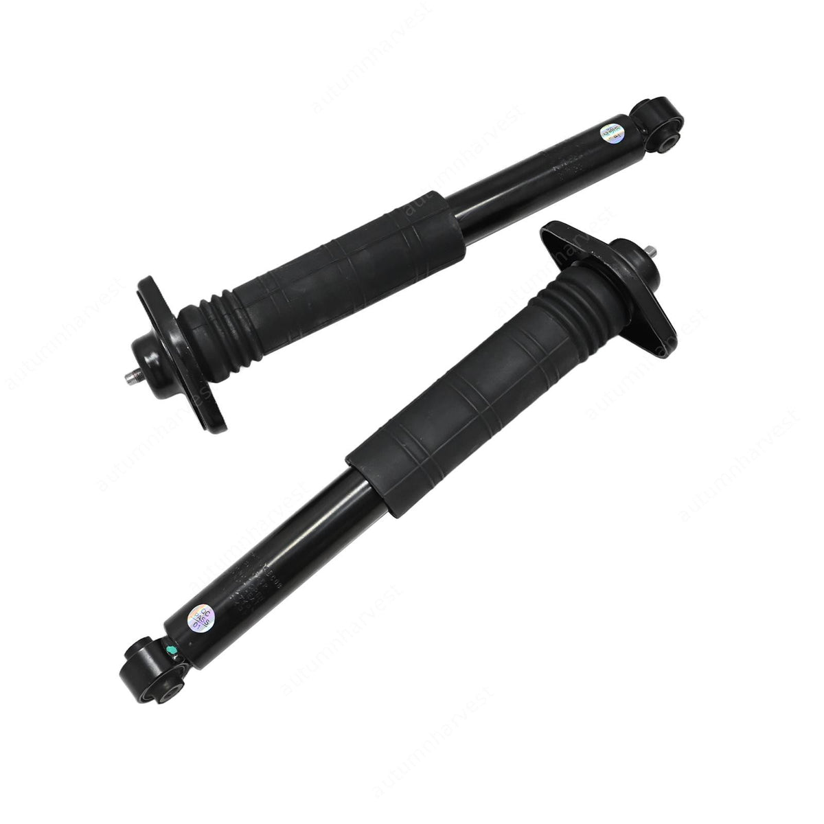 Pair Rear Complete Suspension Shocks Absorber Kit For Nissan Murano 09-14 3.5L