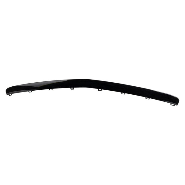 Bumper Moldings & Trim
