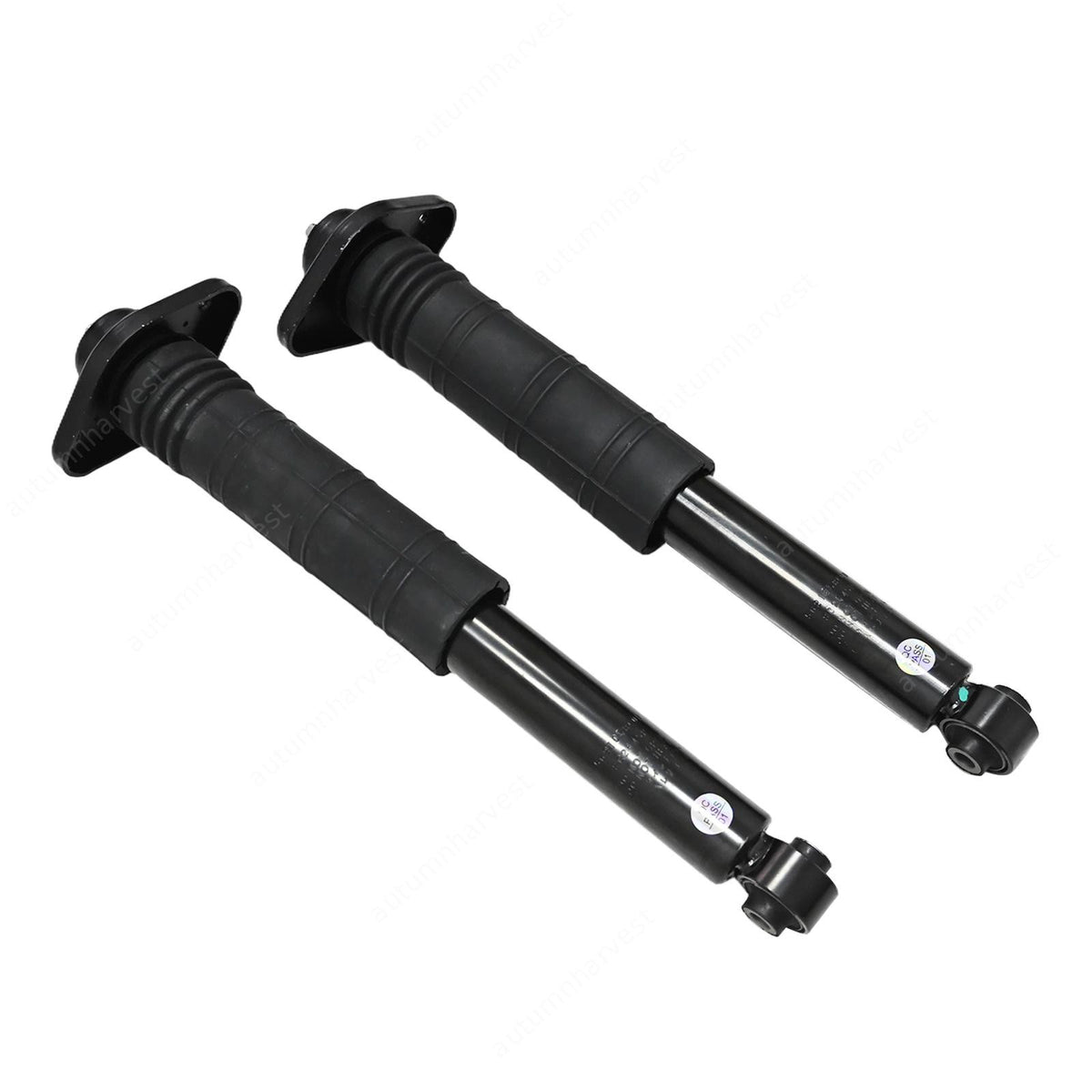 Pair Rear Complete Suspension Shocks Absorber Kit For Nissan Murano 09-14 3.5L