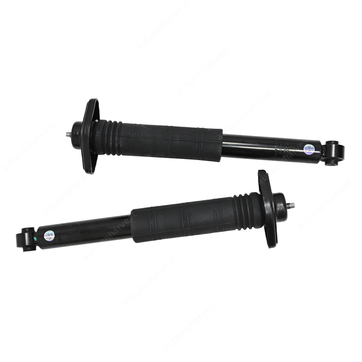 Pair Rear Complete Suspension Shocks Absorber Kit For Nissan Murano 09-14 3.5L