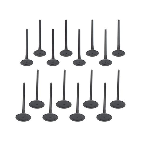 Intake Exhaust Valves for 10-16 Hyundai Santa Fe Sonata Kia Forte Optima 2.0 2.2