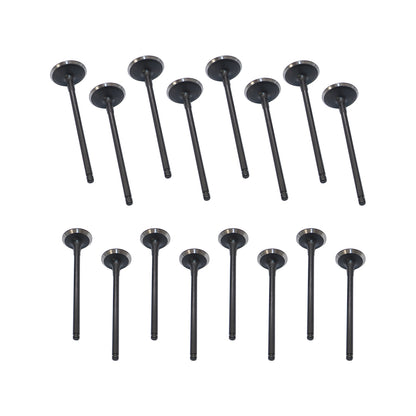 Intake Exhaust Valves for 10-16 Hyundai Santa Fe Sonata Kia Forte Optima 2.0 2.2
