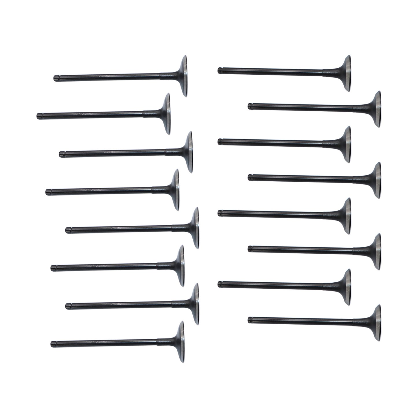 Intake Exhaust Valves for 10-16 Hyundai Santa Fe Sonata Kia Forte Optima 2.0 2.2
