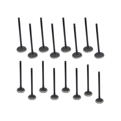 Intake Exhaust Valves for 10-16 Hyundai Santa Fe Sonata Kia Forte Optima 2.0 2.2