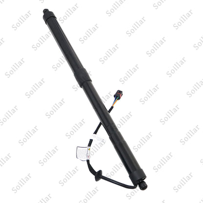 Rear Passenger Power Hatch Lift Support for Kia Sedona 2015 2016 2017-2021 3.3L