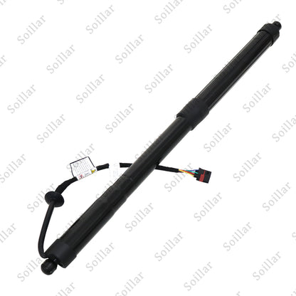 Rear Passenger Power Hatch Lift Support for Kia Sedona 2015 2016 2017-2021 3.3L