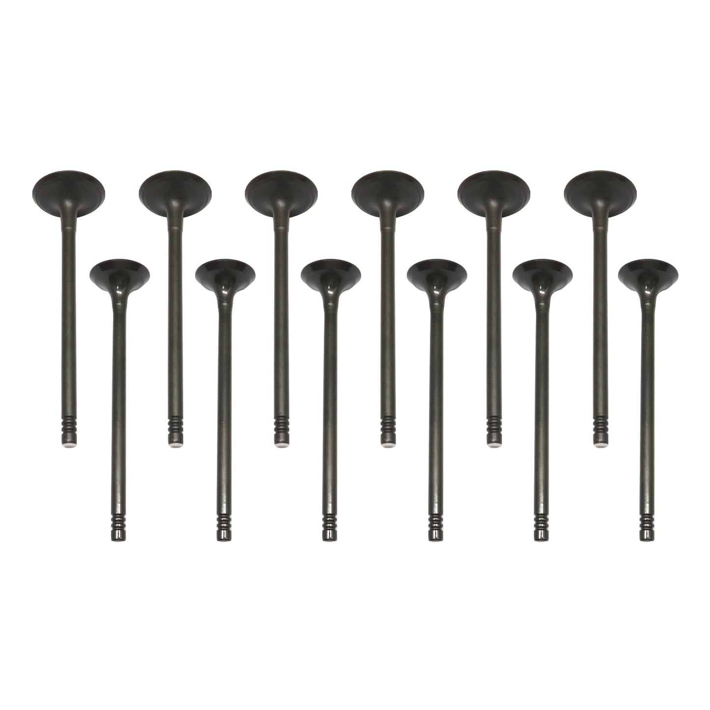 NEW Exhaust Intake Valve Kit Fits For 2014-2017 Ford Fiesta Focus DOHC 12V
