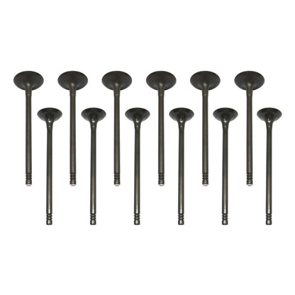 NEW Exhaust Intake Valve Kit Fits For 2014-2017 Ford Fiesta Focus DOHC 12V