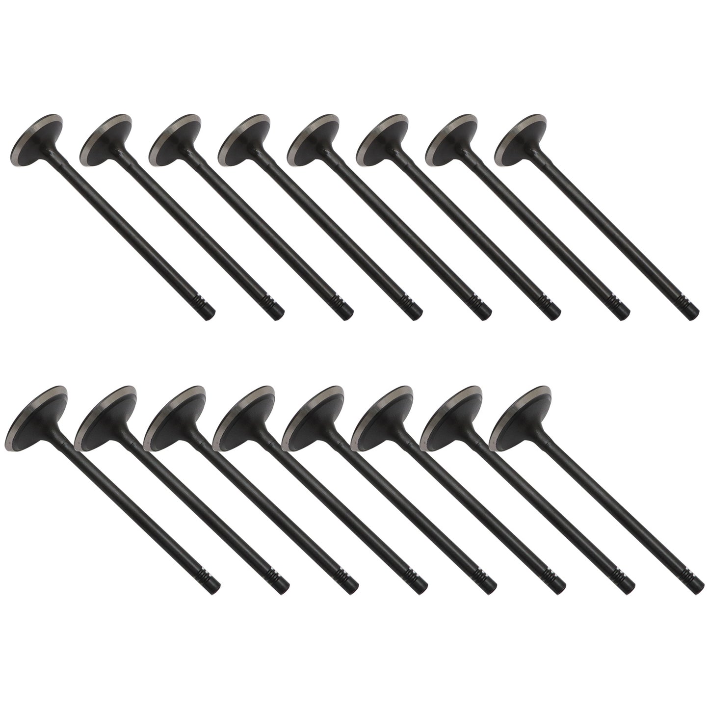 Engine Exhaust Intake Valve Kit Fits 04-06 Chevrolet Colorado GMC Canyon 2.8L