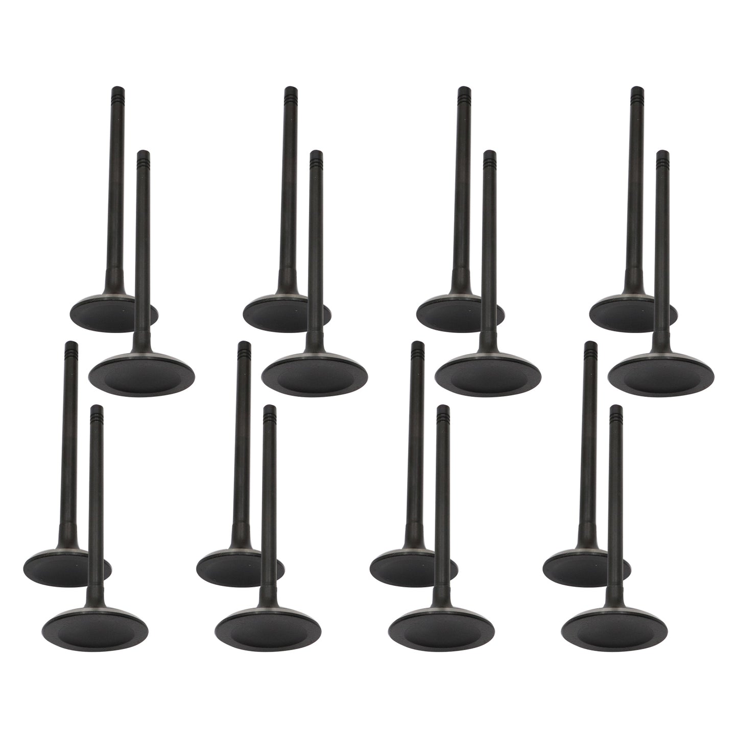 Engine Exhaust Intake Valve Kit Fits 04-06 Chevrolet Colorado GMC Canyon 2.8L