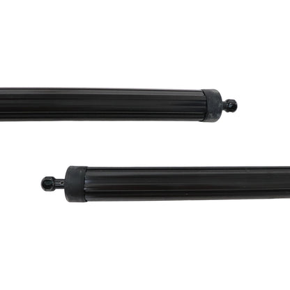 For 2020 - 2022 LEXUS RX350 REAR LH & RH LIFTGATE LIFT SUPPORT Strut 689200E060