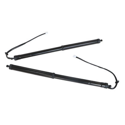 For 2020 - 2022 LEXUS RX350 REAR LH & RH LIFTGATE LIFT SUPPORT Strut 689200E060