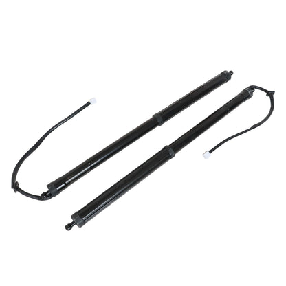 For 2020 - 2022 LEXUS RX350 REAR LH & RH LIFTGATE LIFT SUPPORT Strut 689200E060