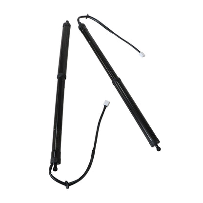 For 2020 - 2022 LEXUS RX350 REAR LH & RH LIFTGATE LIFT SUPPORT Strut 689200E060