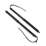For 2020 - 2022 LEXUS RX350 REAR LH & RH LIFTGATE LIFT SUPPORT Strut 689200E060