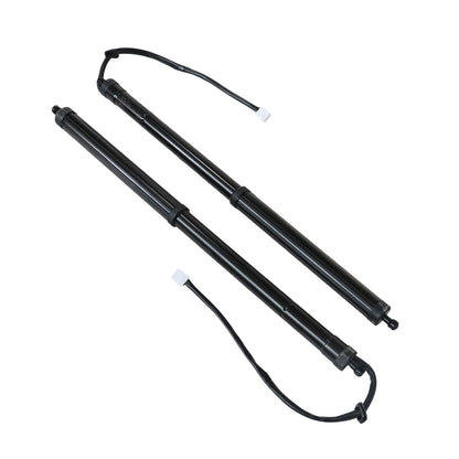 For 2020 - 2022 LEXUS RX350 REAR LH & RH LIFTGATE LIFT SUPPORT Strut 689200E060
