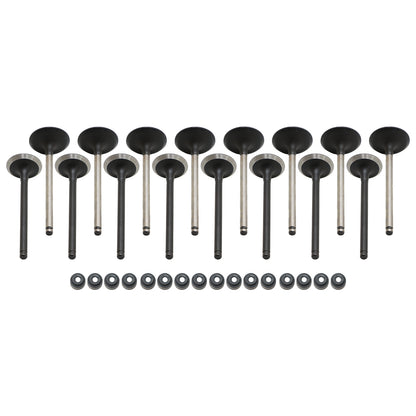 Fits For Toyota & Chevrolet 1998 1999-2004 2005 Intake Exhaust Valves w/ Seals
