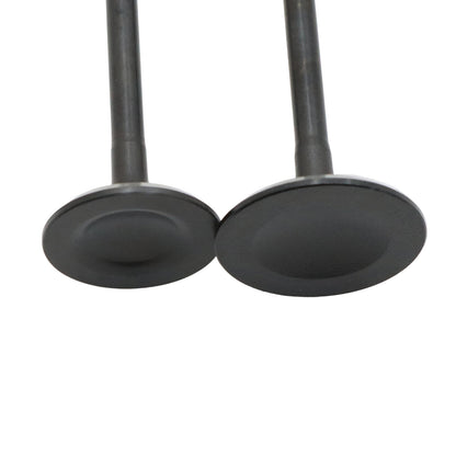 Fits For 1994-2002 Honda Accord Odyssey Acura CL Intake Exhaust Valves