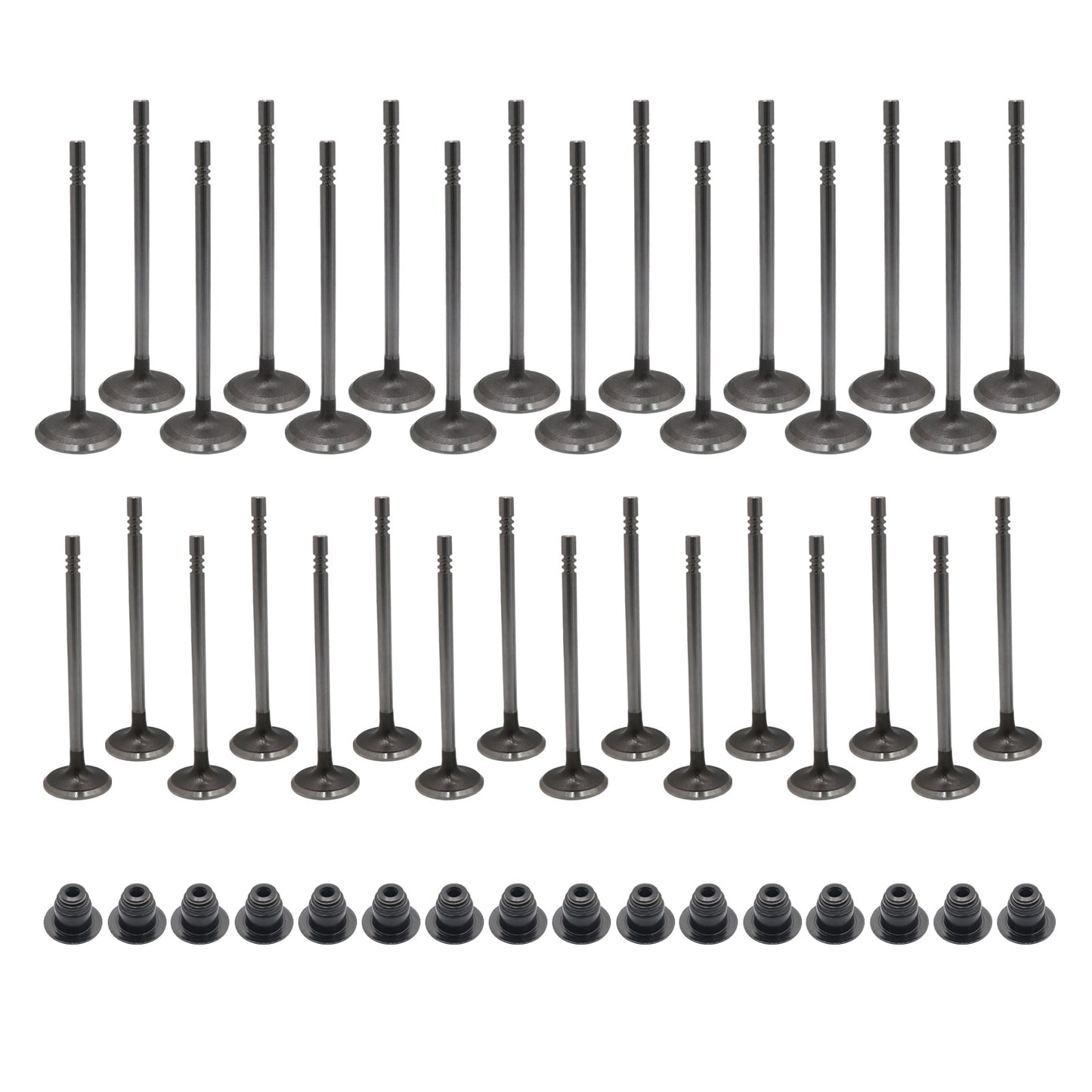 Fits 11-16 Ford F150 mustang GT 5.0L Intake Exhaust Valves + Valve Seals New