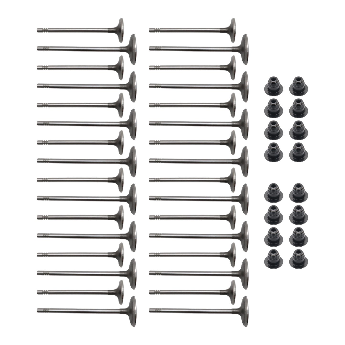 Fits 11-16 Ford F150 mustang GT 5.0L Intake Exhaust Valves + Valve Seals New