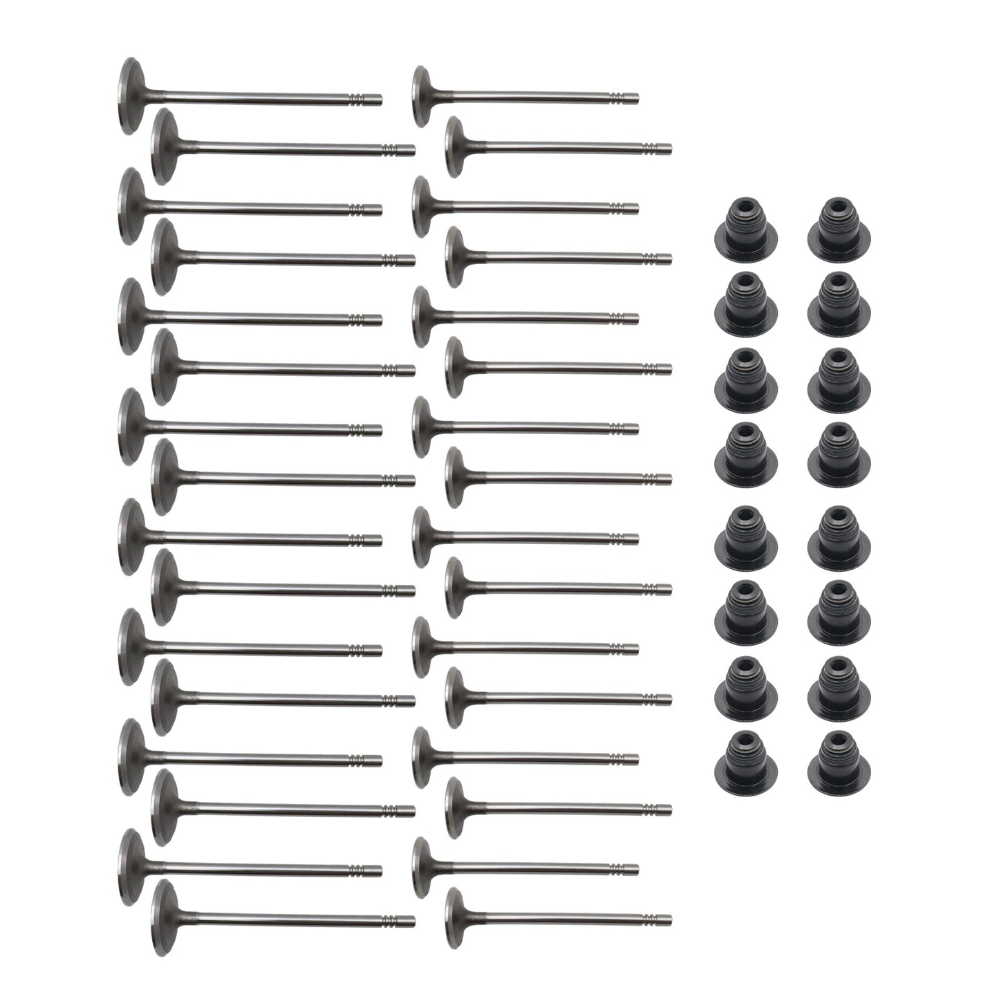 Fits 11-16 Ford F150 mustang GT 5.0L Intake Exhaust Valves + Valve Seals New