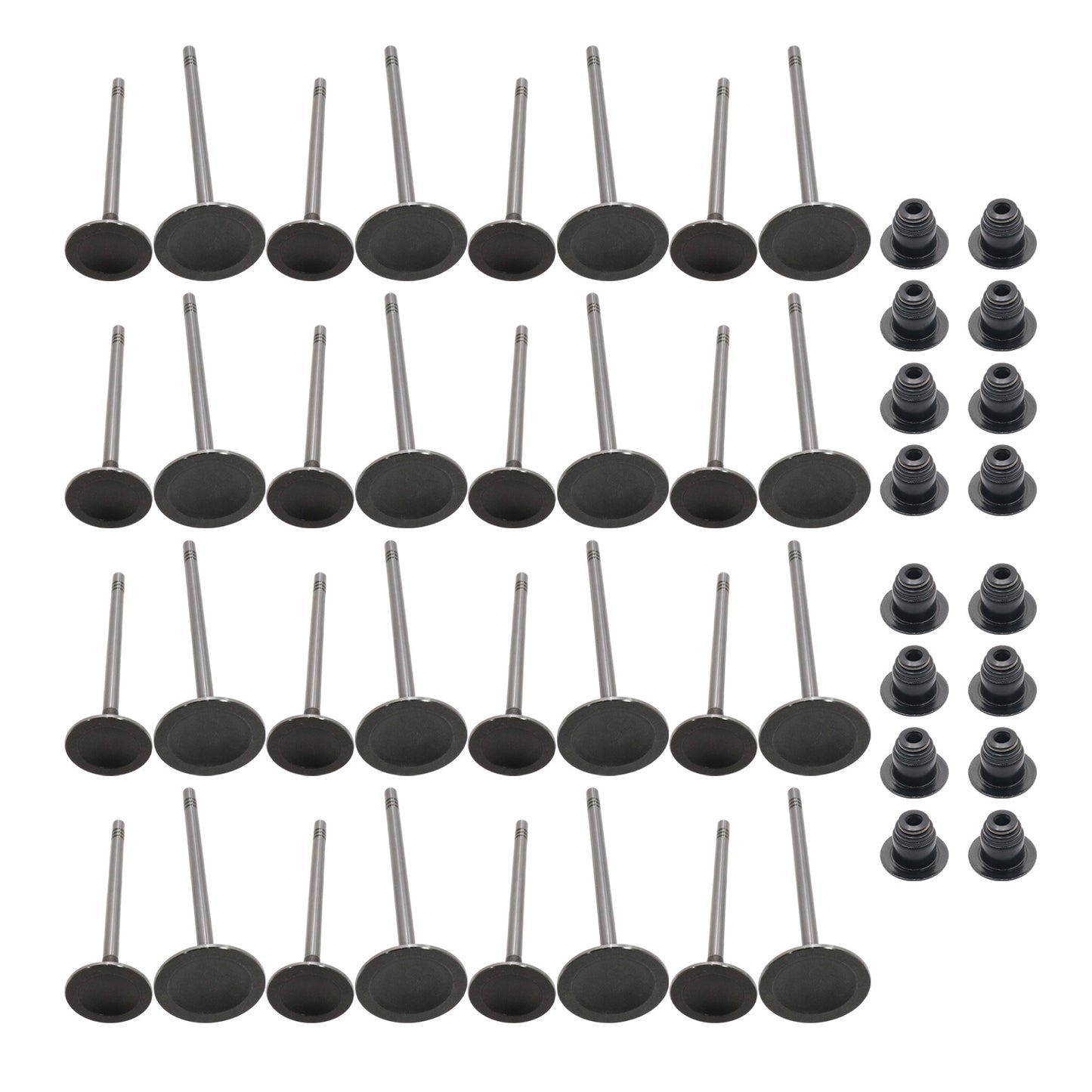 Fits 11-16 Ford F150 mustang GT 5.0L Intake Exhaust Valves + Valve Seals New